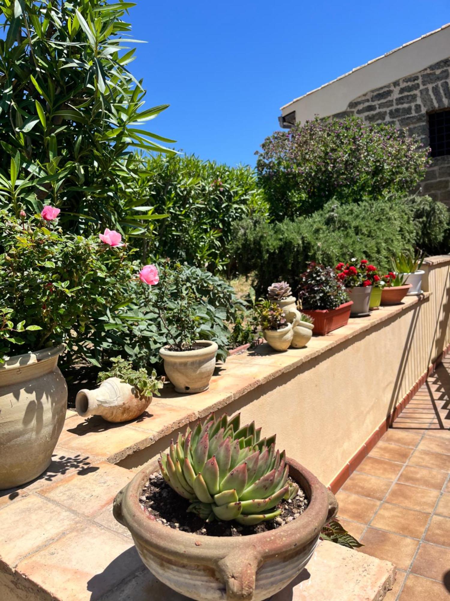 Domus Mare Luxury Appartement San Leone Buitenkant foto